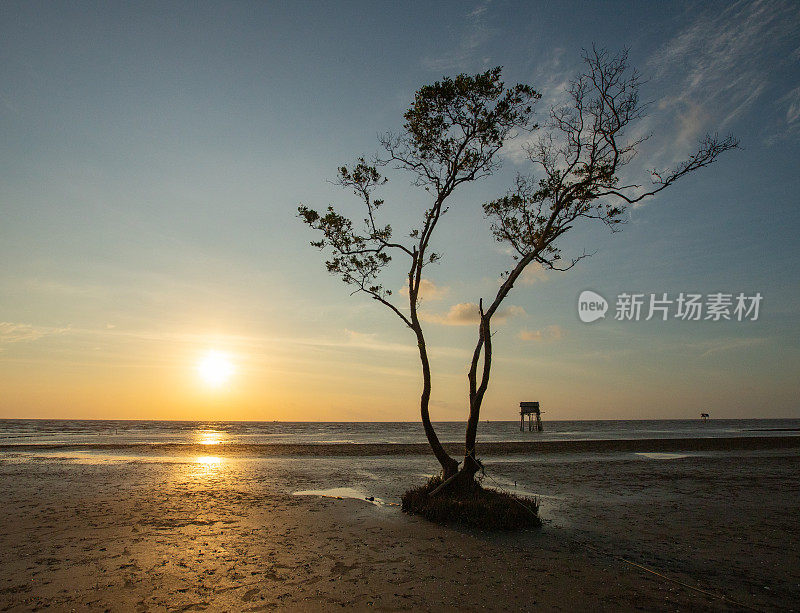 日出在Tan Thanh海滩，天江省，湄公河三角洲